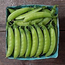 PEA 'Sweet Gem', Sugar Snap Pea