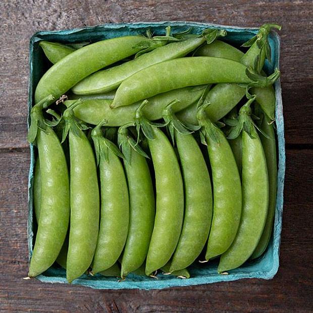 PEA 'Sweet Gem', Sugar Snap Pea